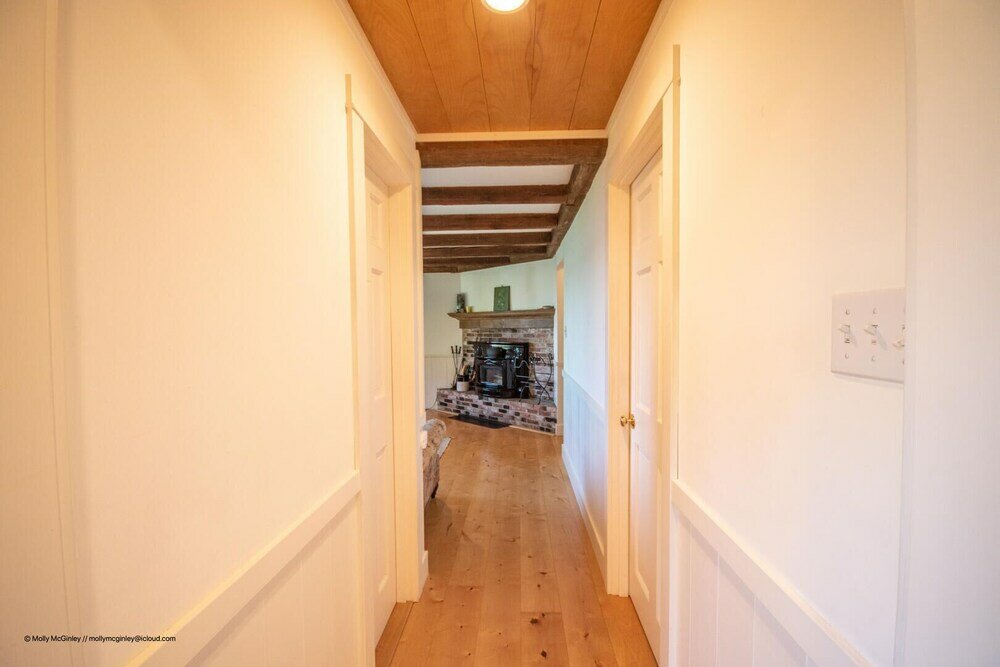 Фото Puffin Rock - New 2022!