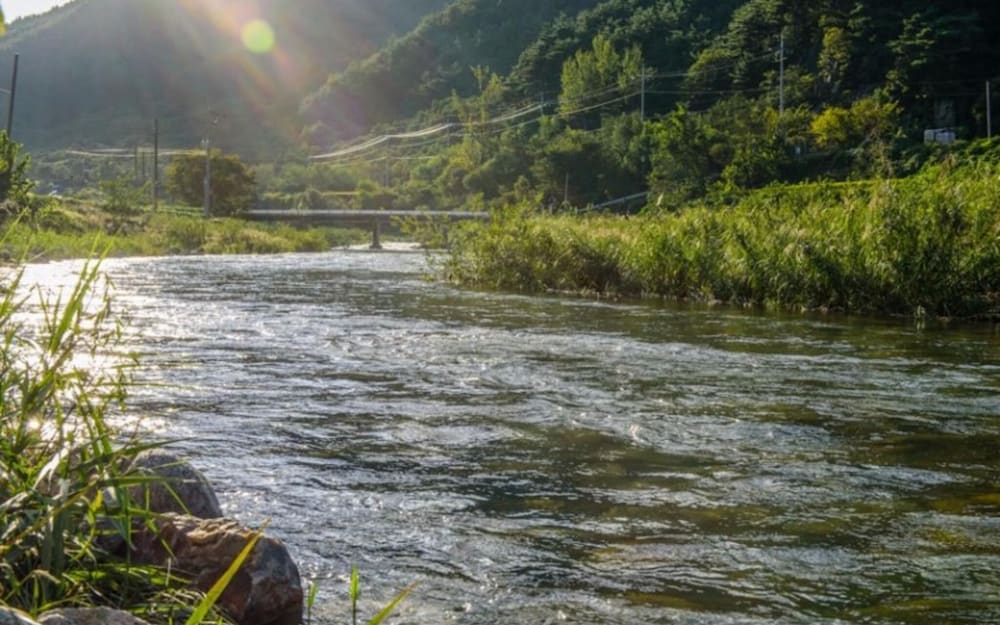 Фото Geochang Windmill Village Pension