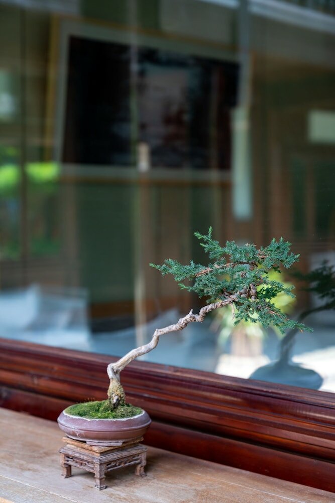 Фото Lijiang Xueshanyu Inn