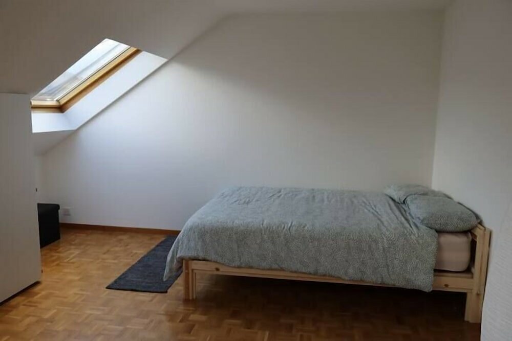 Фото Service Loft in Central Geneva