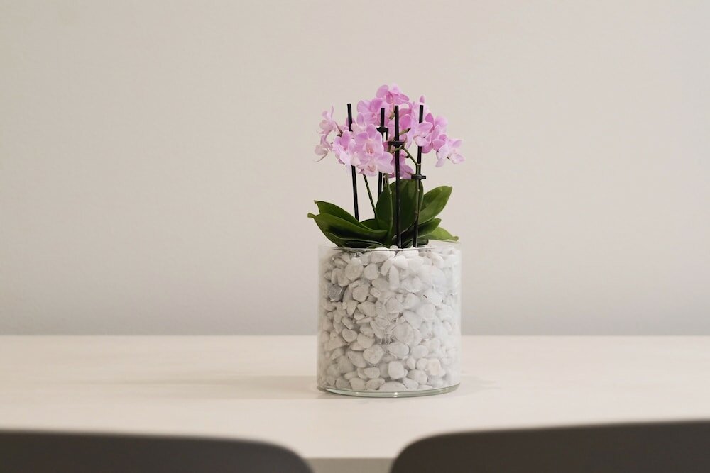 Фото Amiata Suite