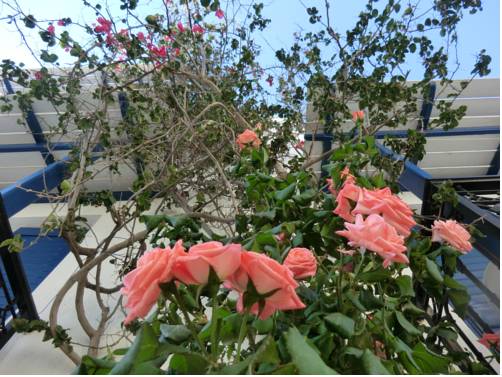 Фото Pigasos Studios