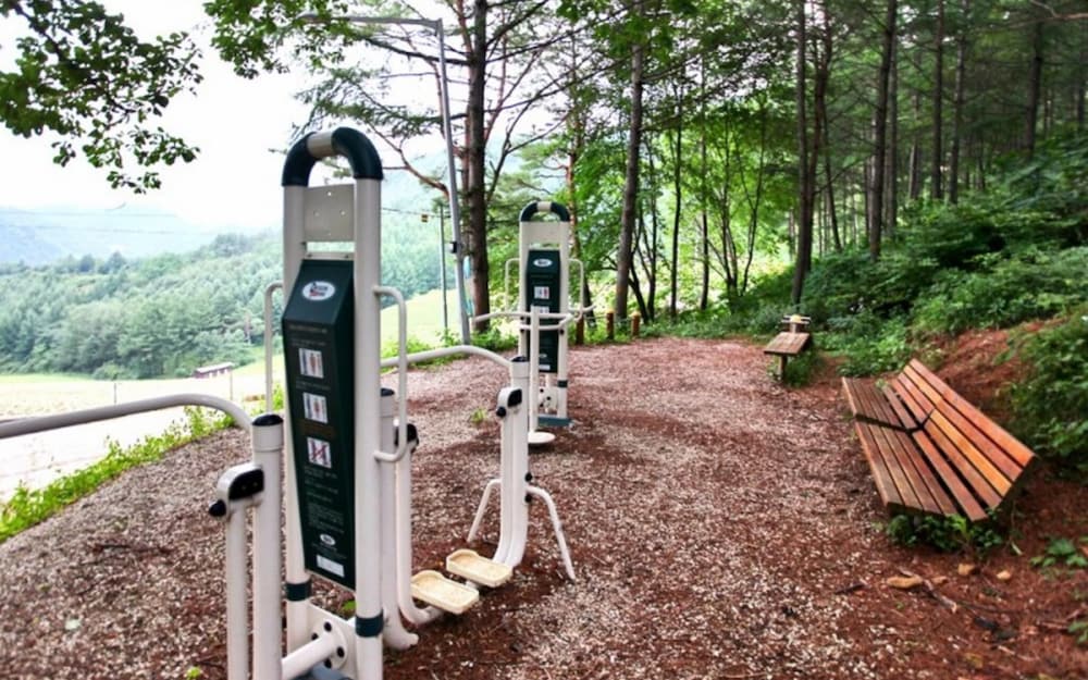 Фото Jeongseon Starjari Pension