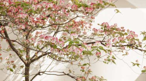 Фото Hotel Mistral