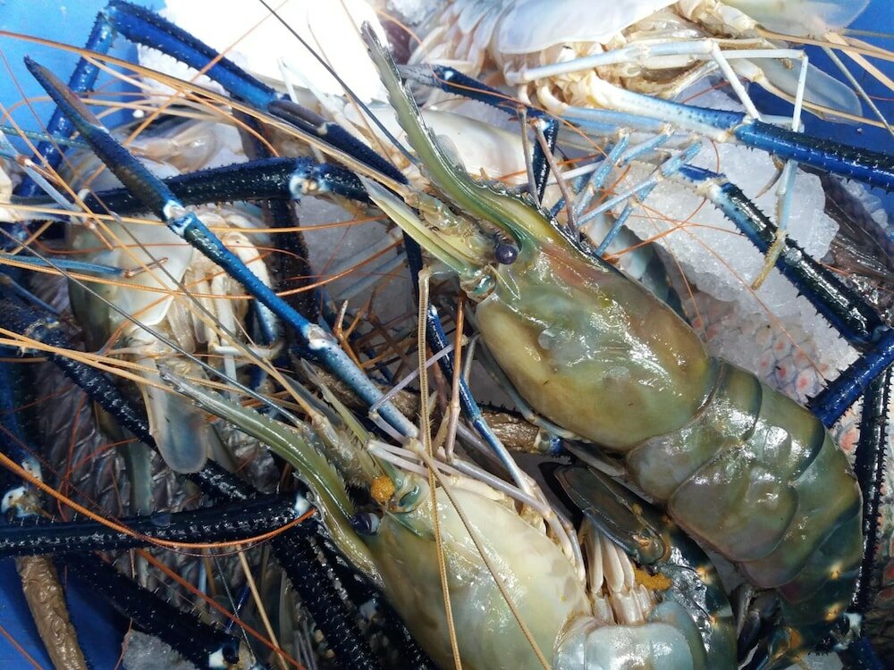 Фото Heaven in Satin Woods Rekawa