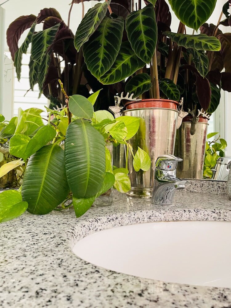 Фото My Place Suite Milano Navigli