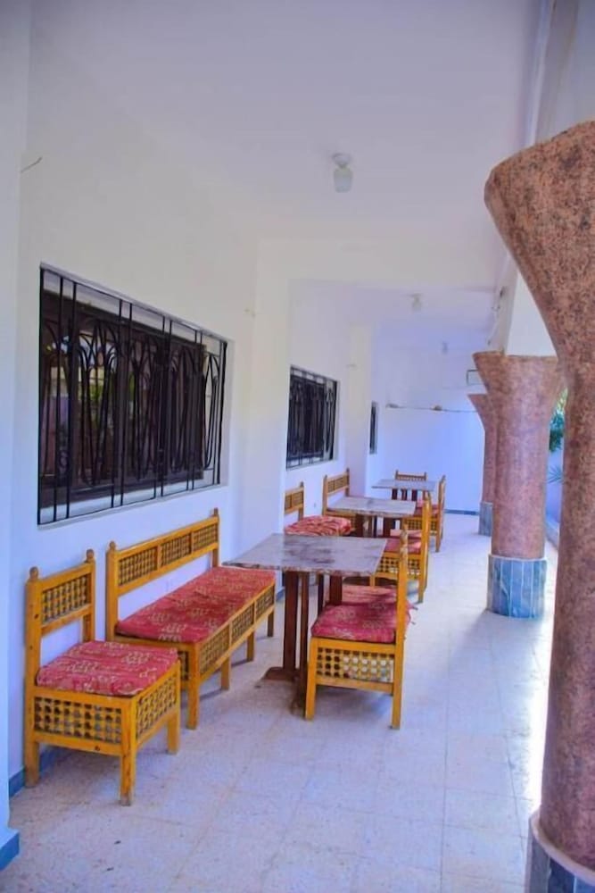 Фото Pharaonic Rose