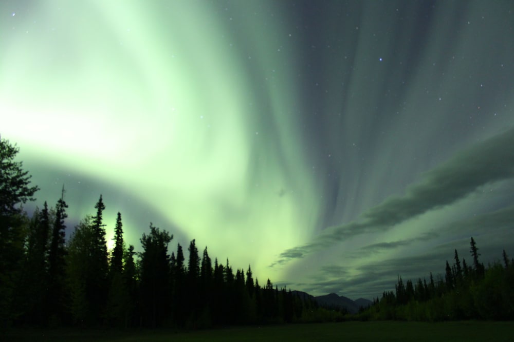 Фото Discovery Yukon Lodgings