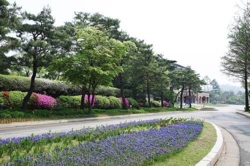 Фото Mayfield Hotel Seoul