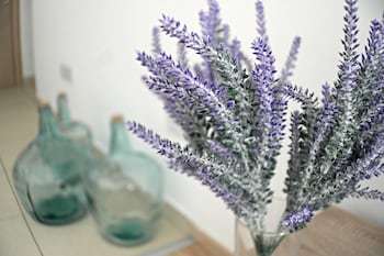 Фото Eden Beach Apartments