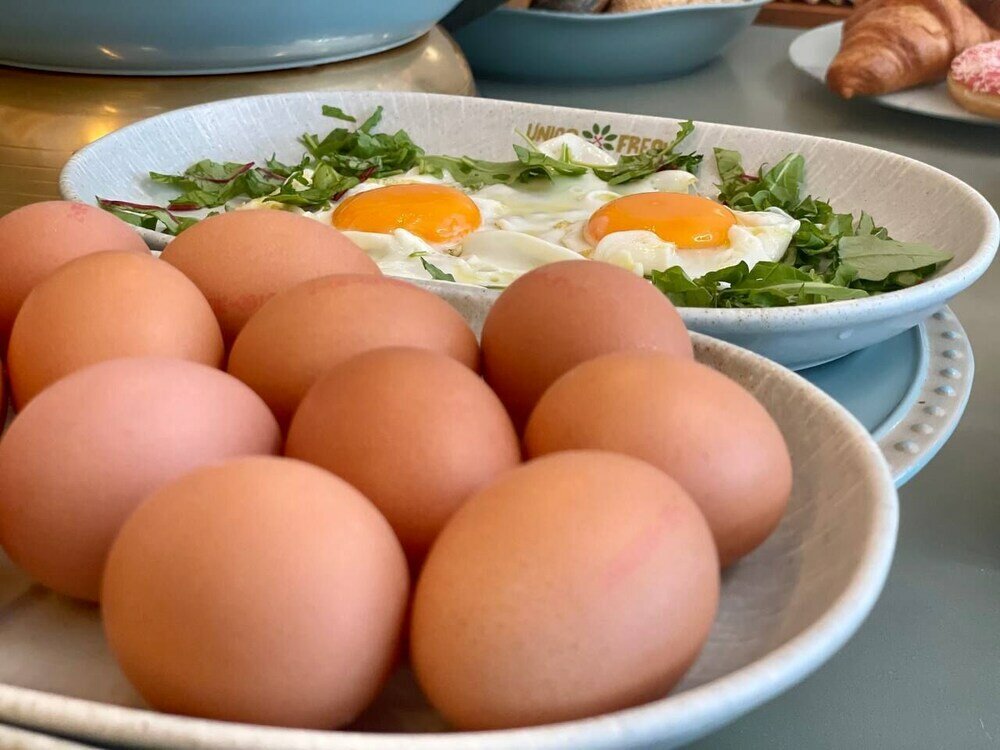 Фото Design- und Kunsthotel München