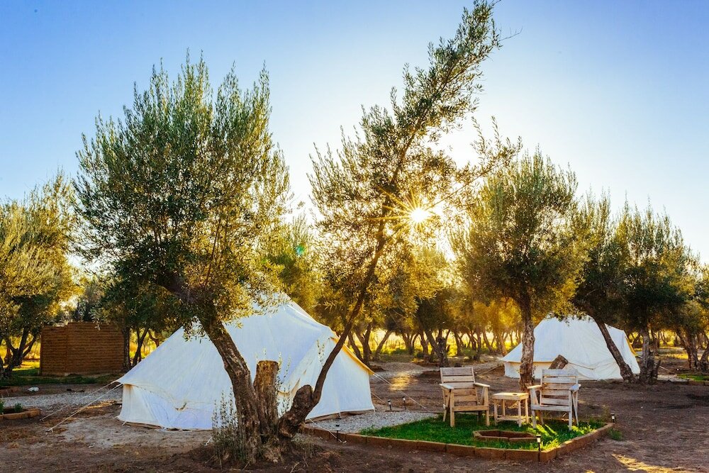 Фото Guadalupe Valle Glamping