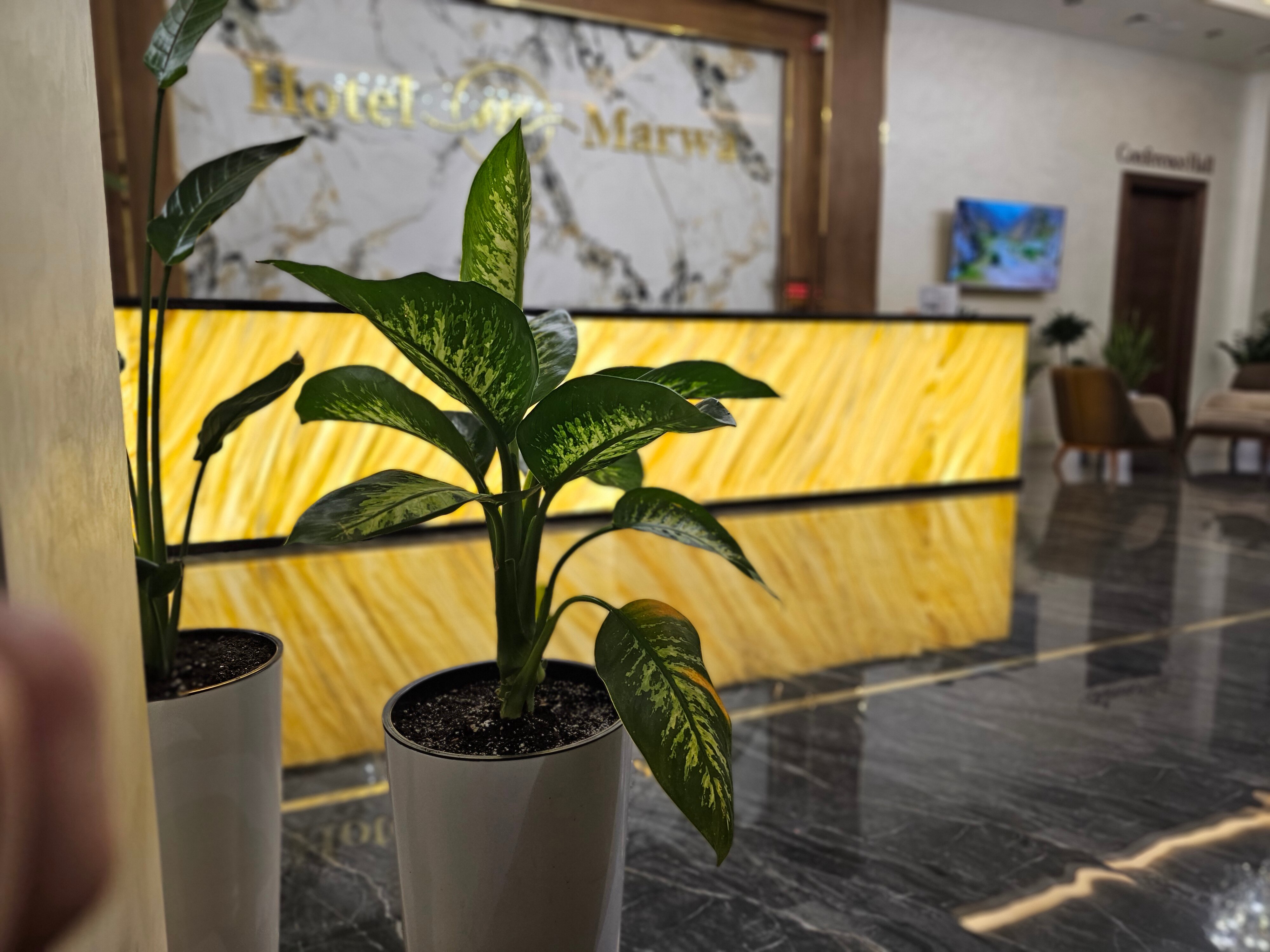 Фото Hotel Marwa