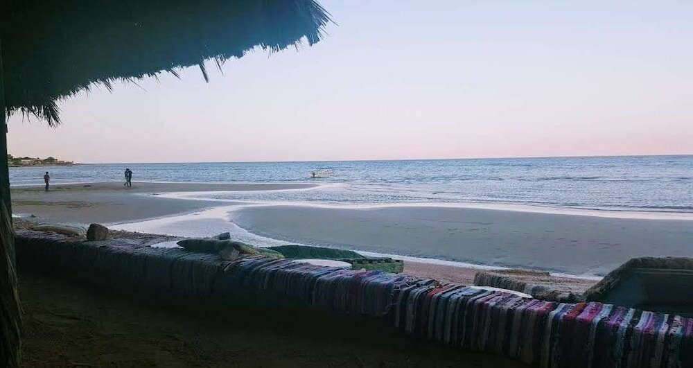 Фото White palace camp ex camp david