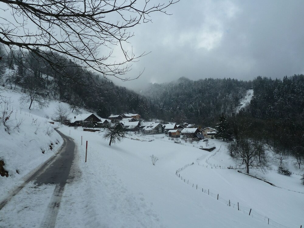 Фото Le Jardin Fleuri