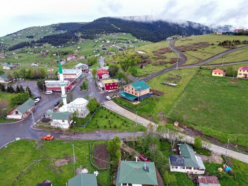 Гостиница Zeytindalı Yayla Hotel в Акчаабате