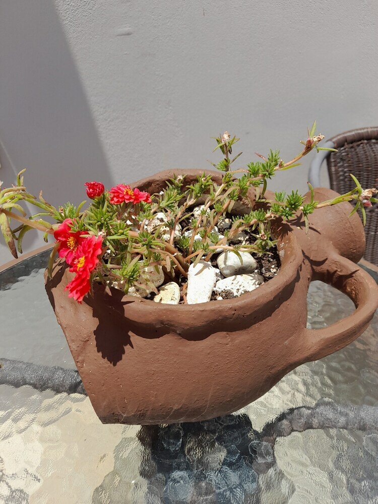 Фото Villa Kastania