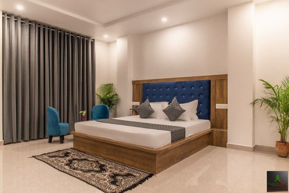 Фото The Cloud Berry