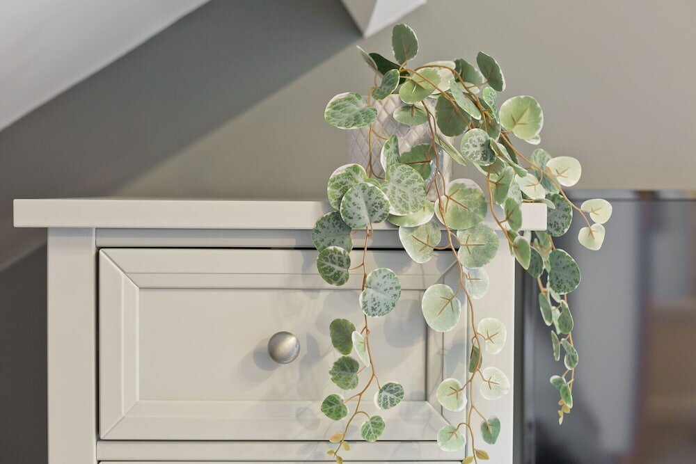 Фото Malleus House