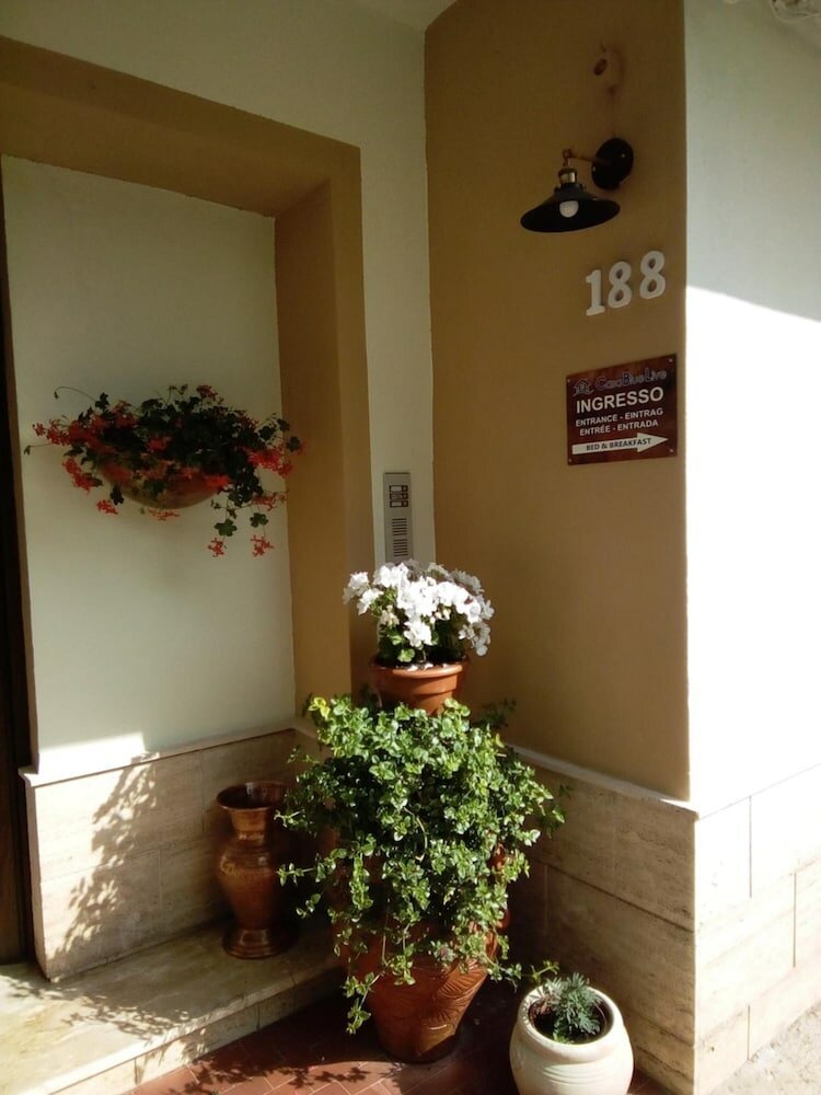 Фото Casa BlueLive