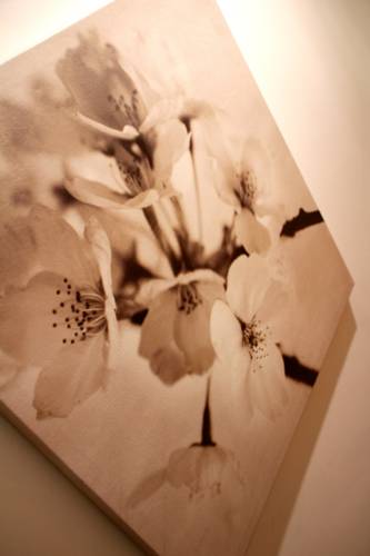 Фото Bed Rooms Rome