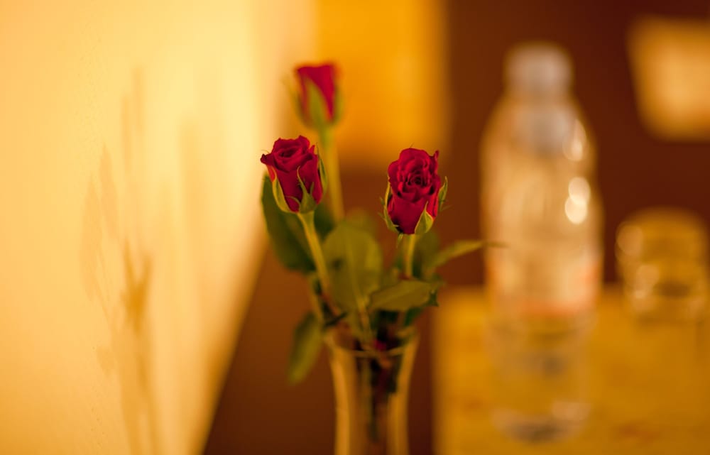 Фото Hotel Goldener Schlüssel