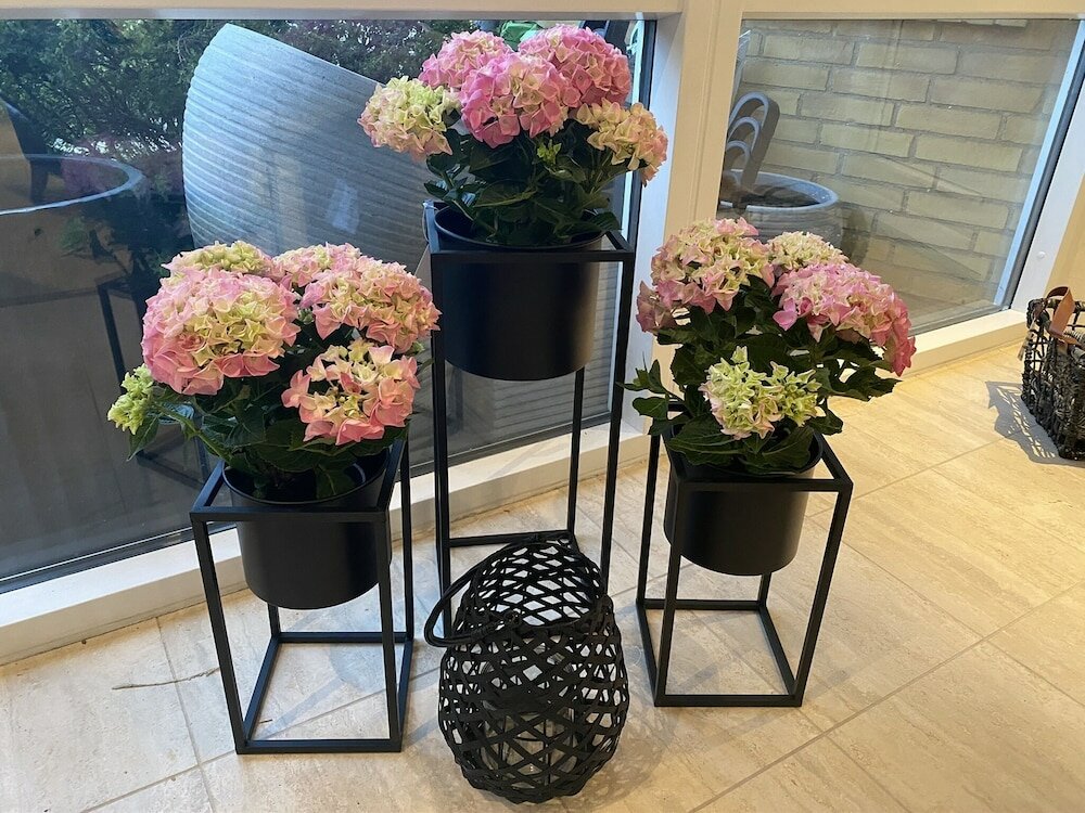 Фото Hotel Sov Godt Herning