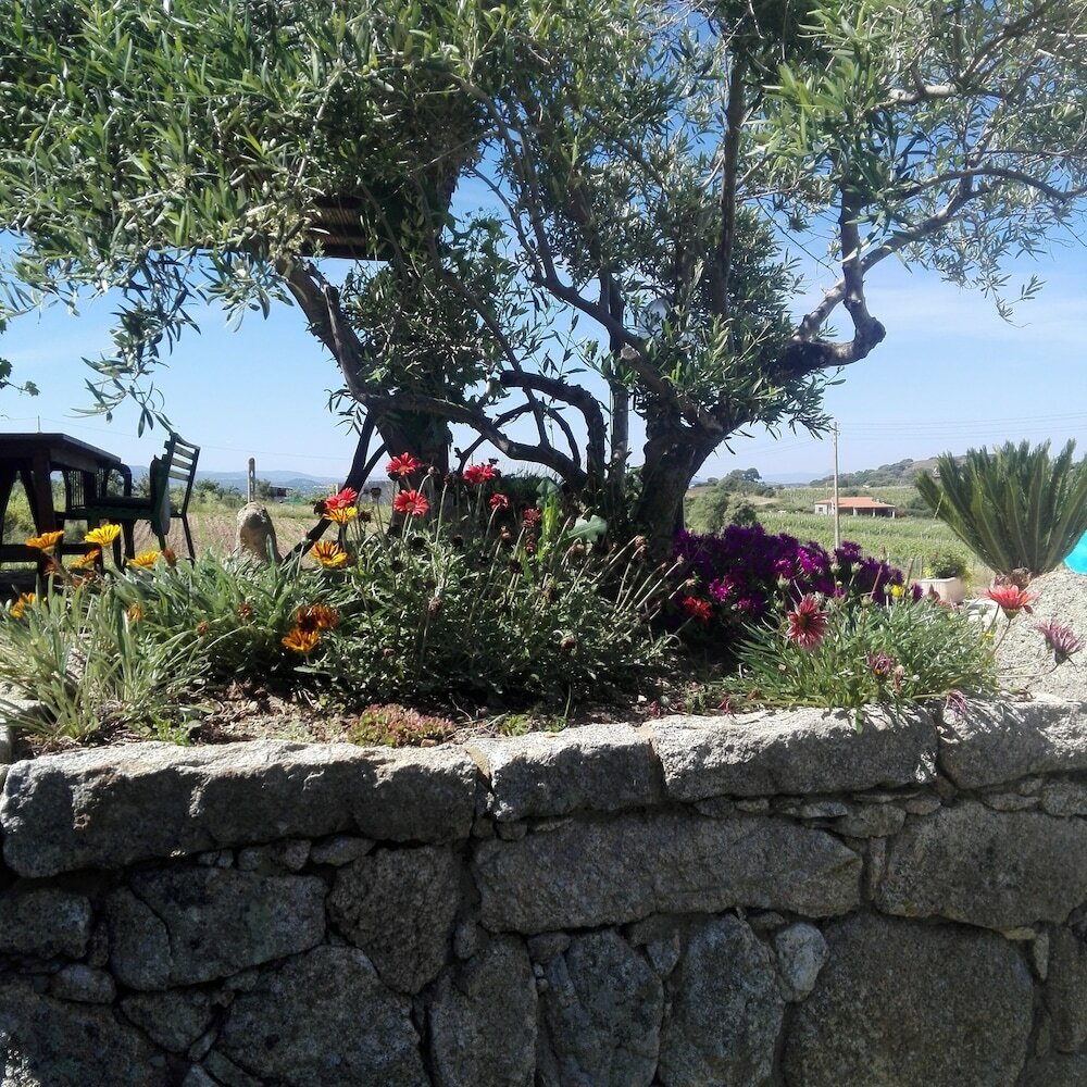 Фото Agriturismo B&b Domo De Resteblas