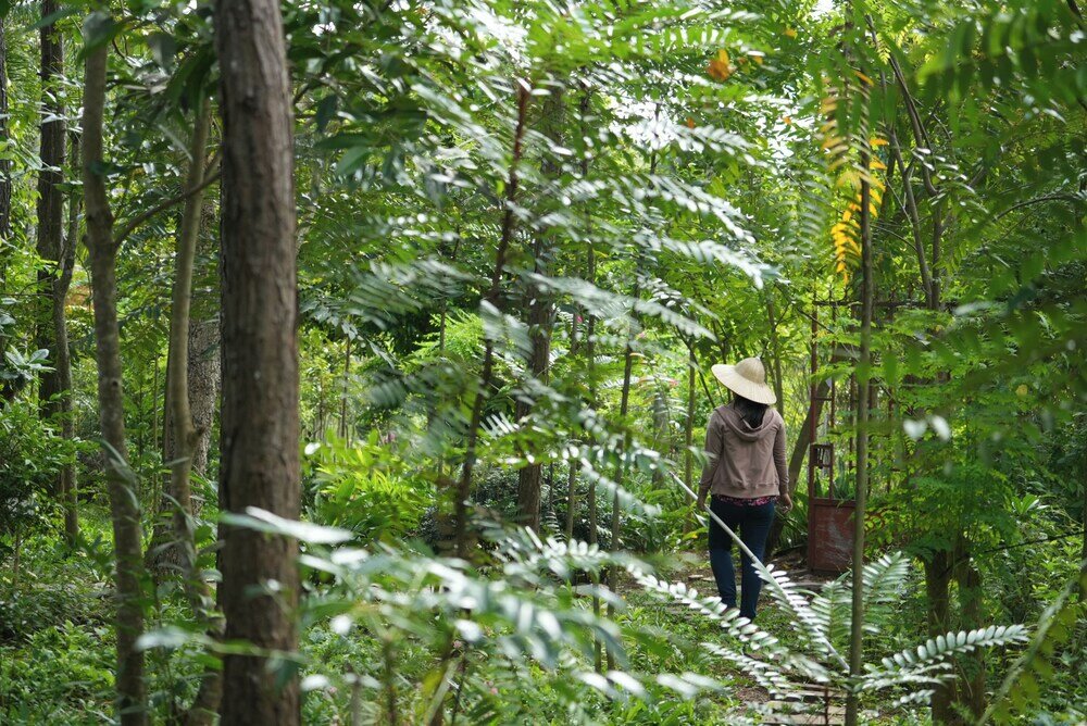 Фото Suoi Rao Ecolodge