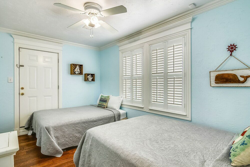 Фото The Turquoise Turtle