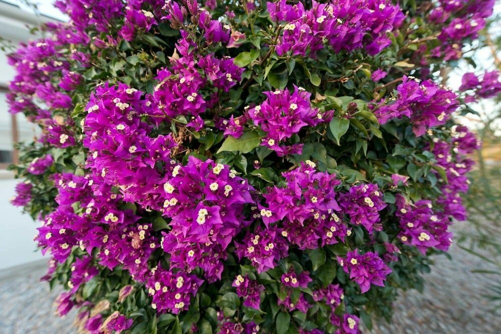 Фото Apartment Mint by Amy Villas