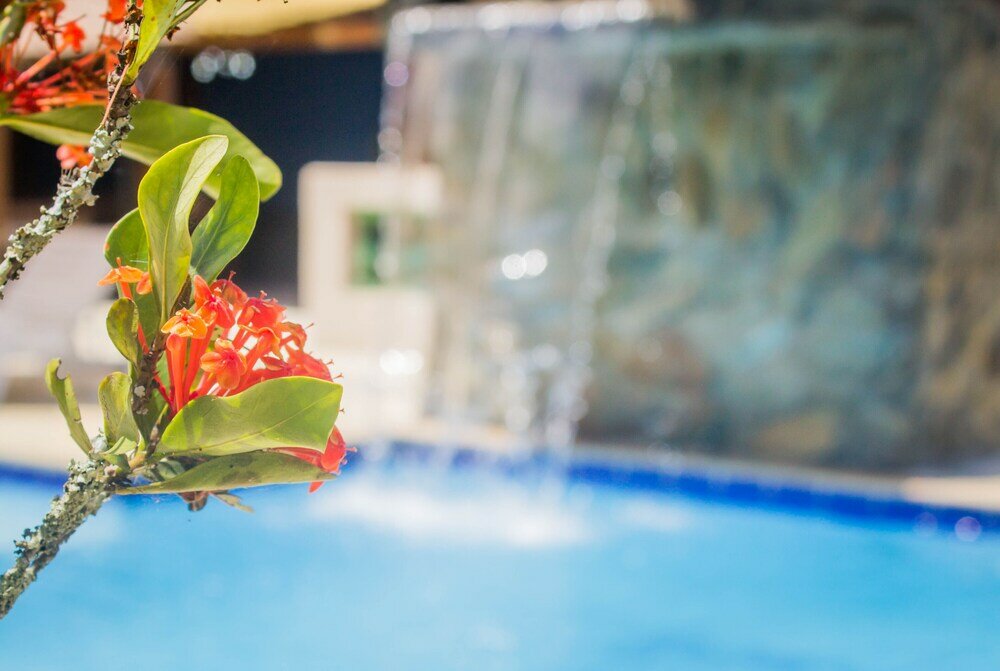 Фото Pousada Recanto Garça Vermelha