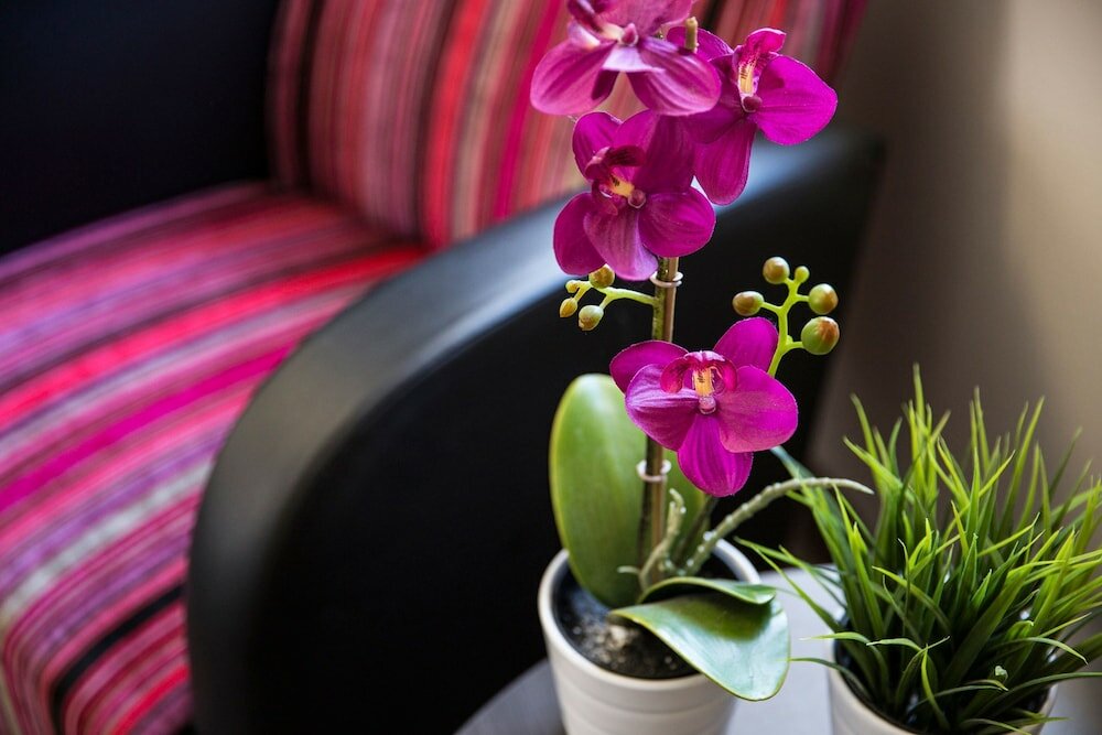 Фото Toongabbie Hotel