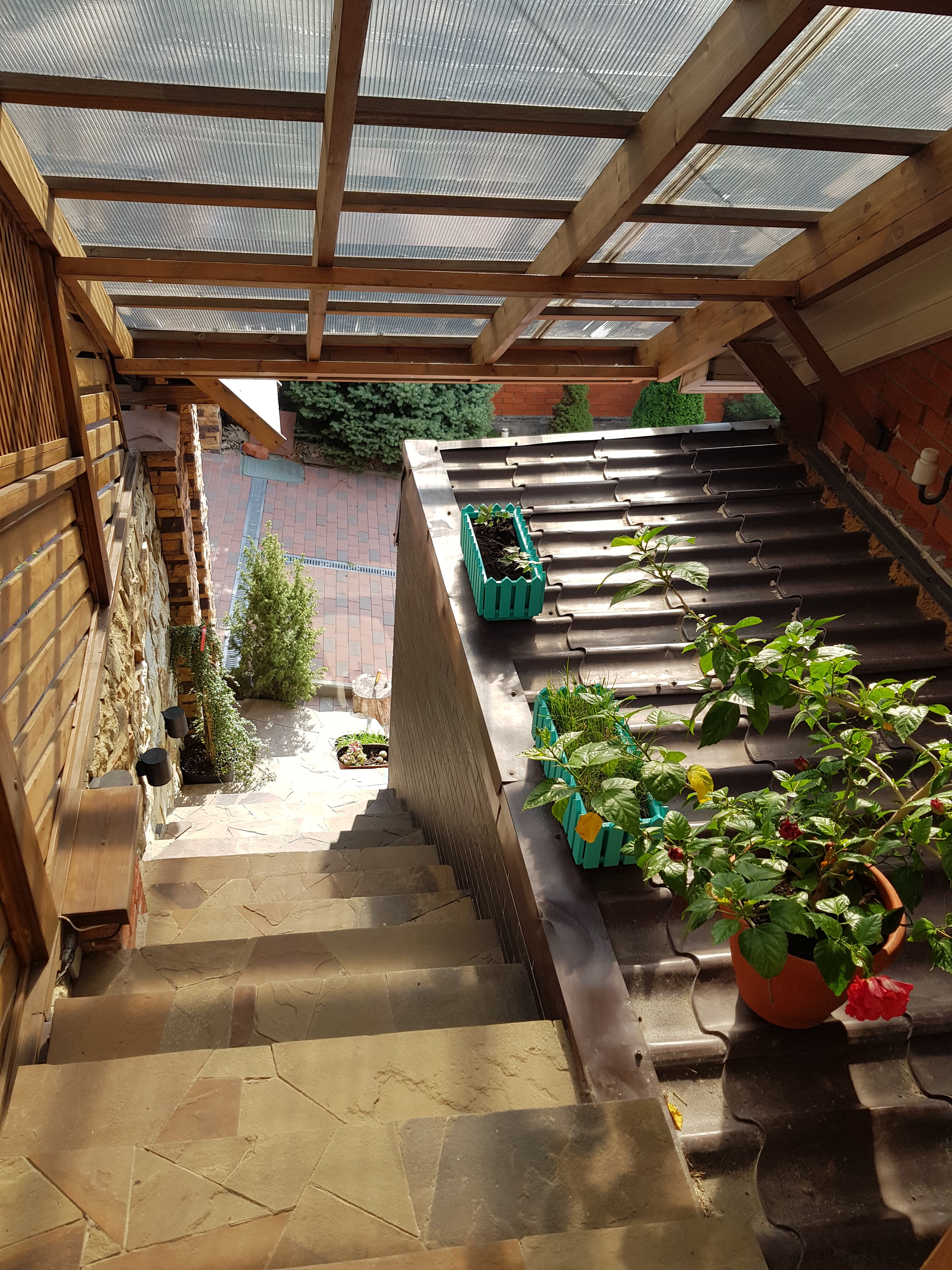 Фото Vertex Новороссийск