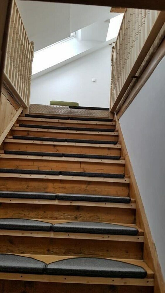 Фото Dresdner-Tag Hermann