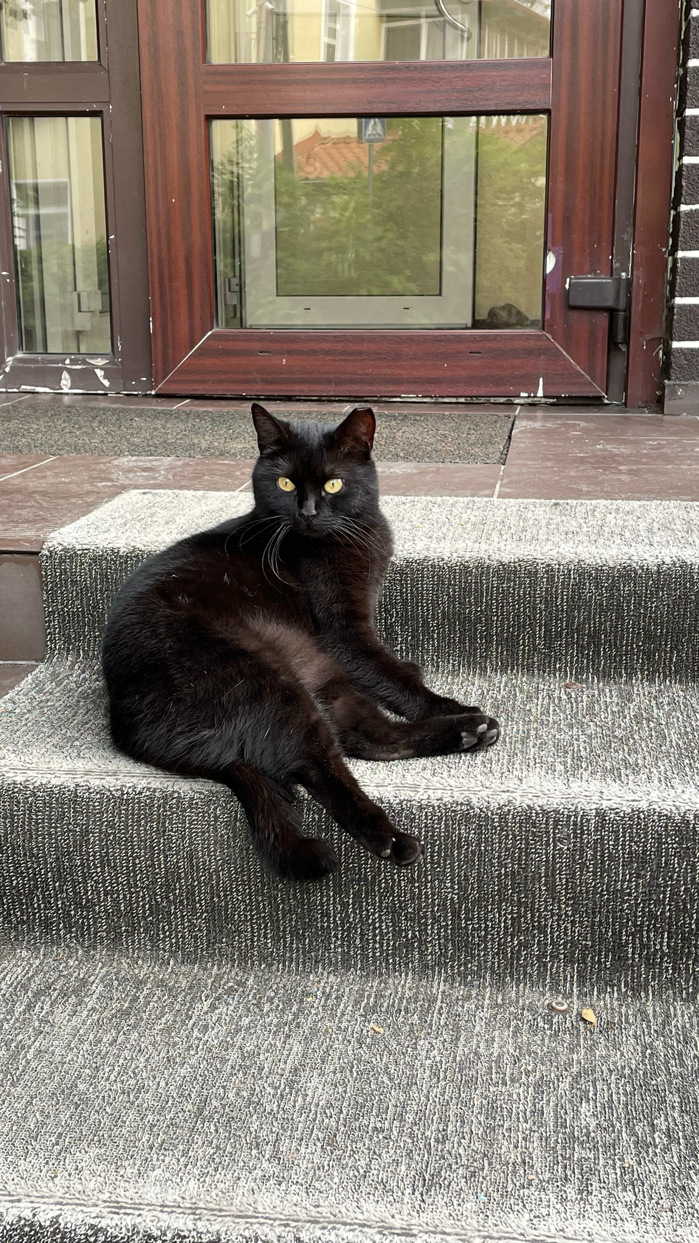 Фото Балтийская корона