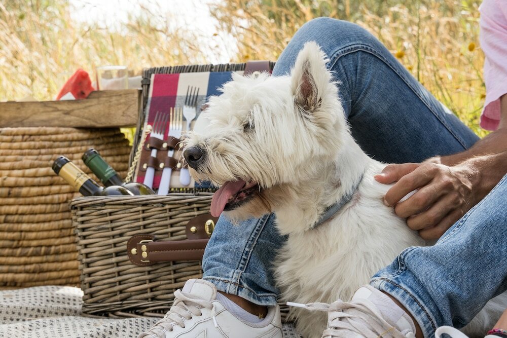 Фото Il Borgo Incantato