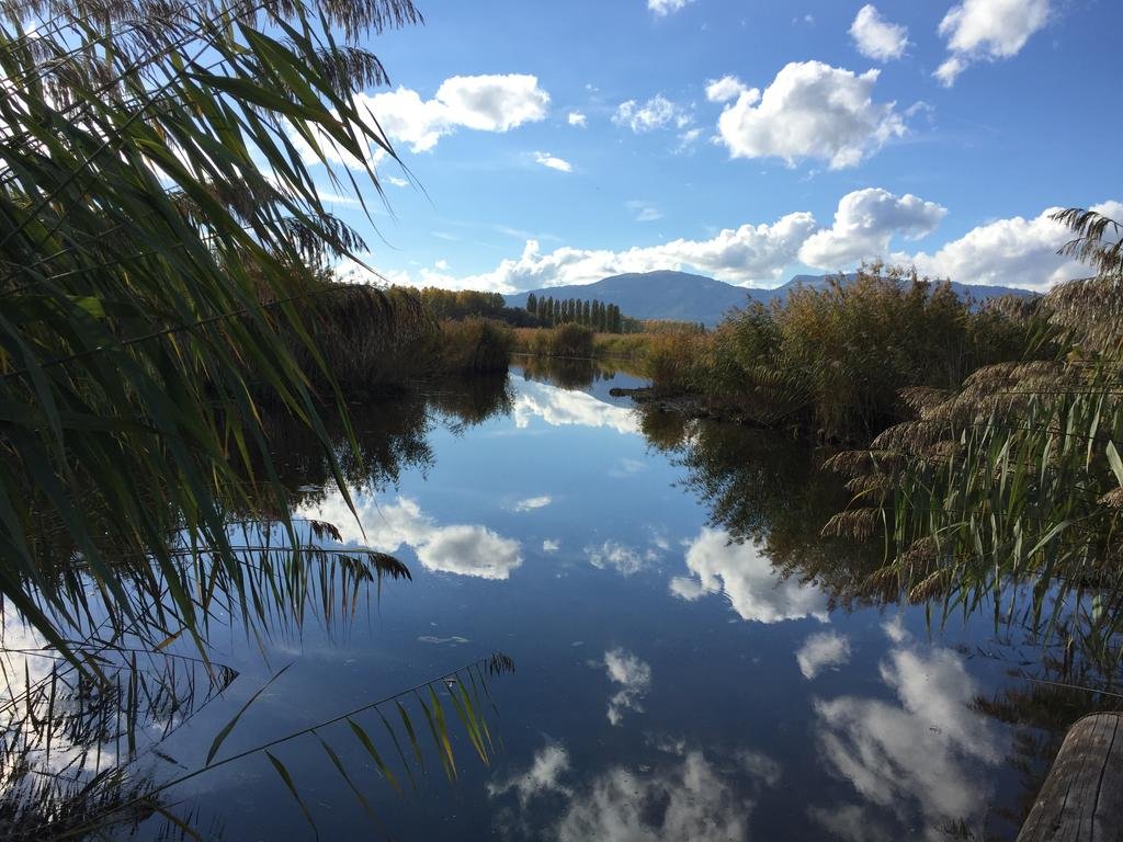 Фото Hotel La Prairie