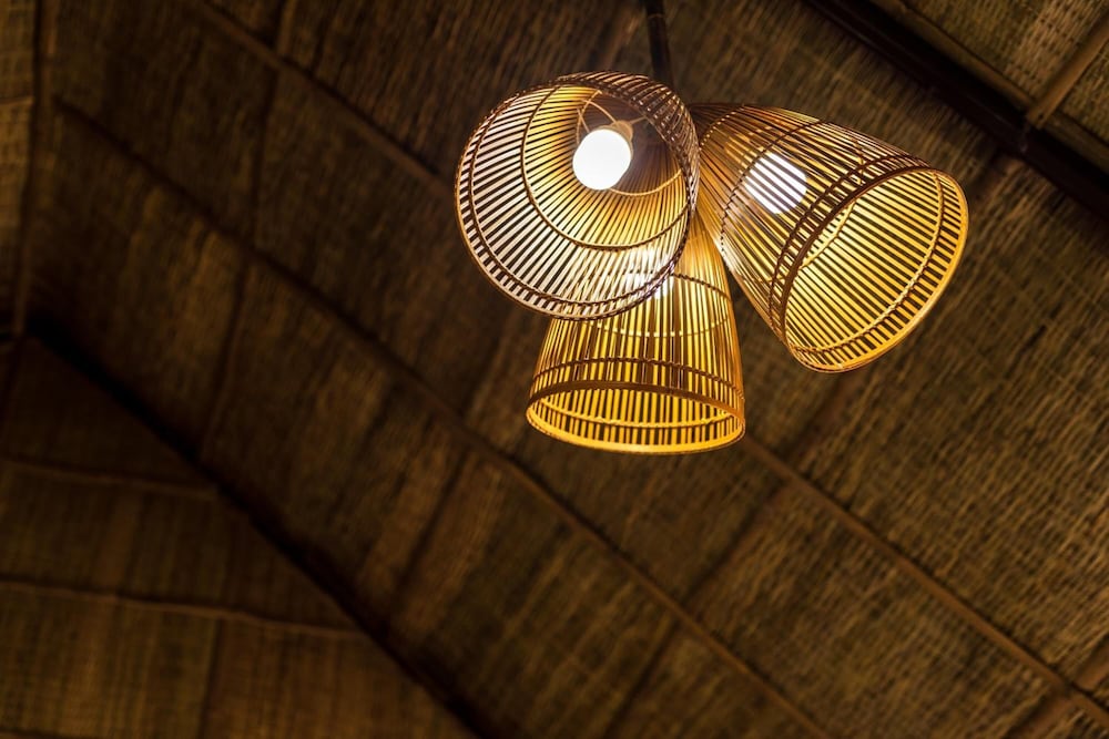 Фото Jungle Beach