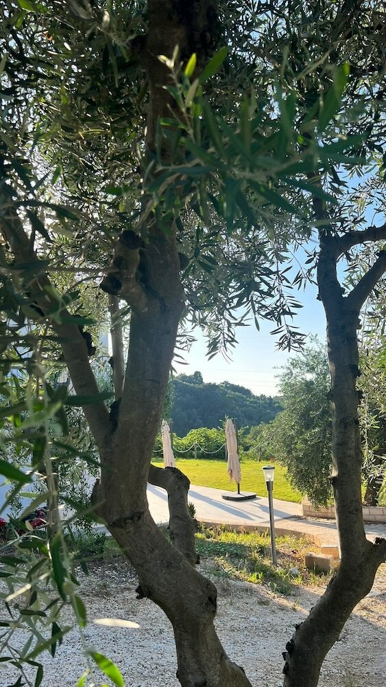 Фото Verde Matematico