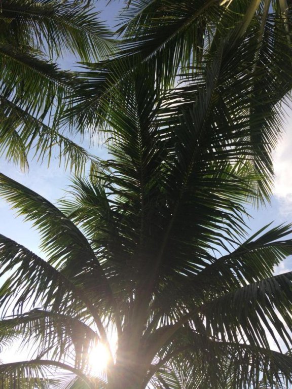 Фото Riad Zinnha