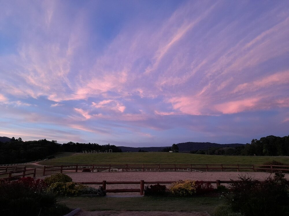 Фото Kur Cow farm