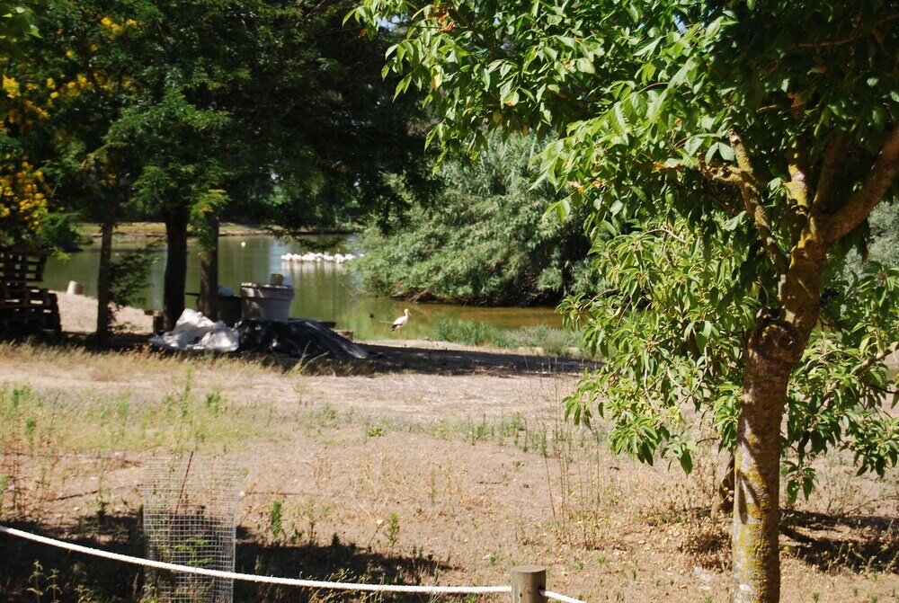 Фото Vivienda Rural el Retorno
