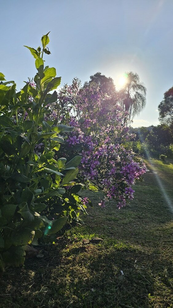 Фото Pousada Bom Pastor