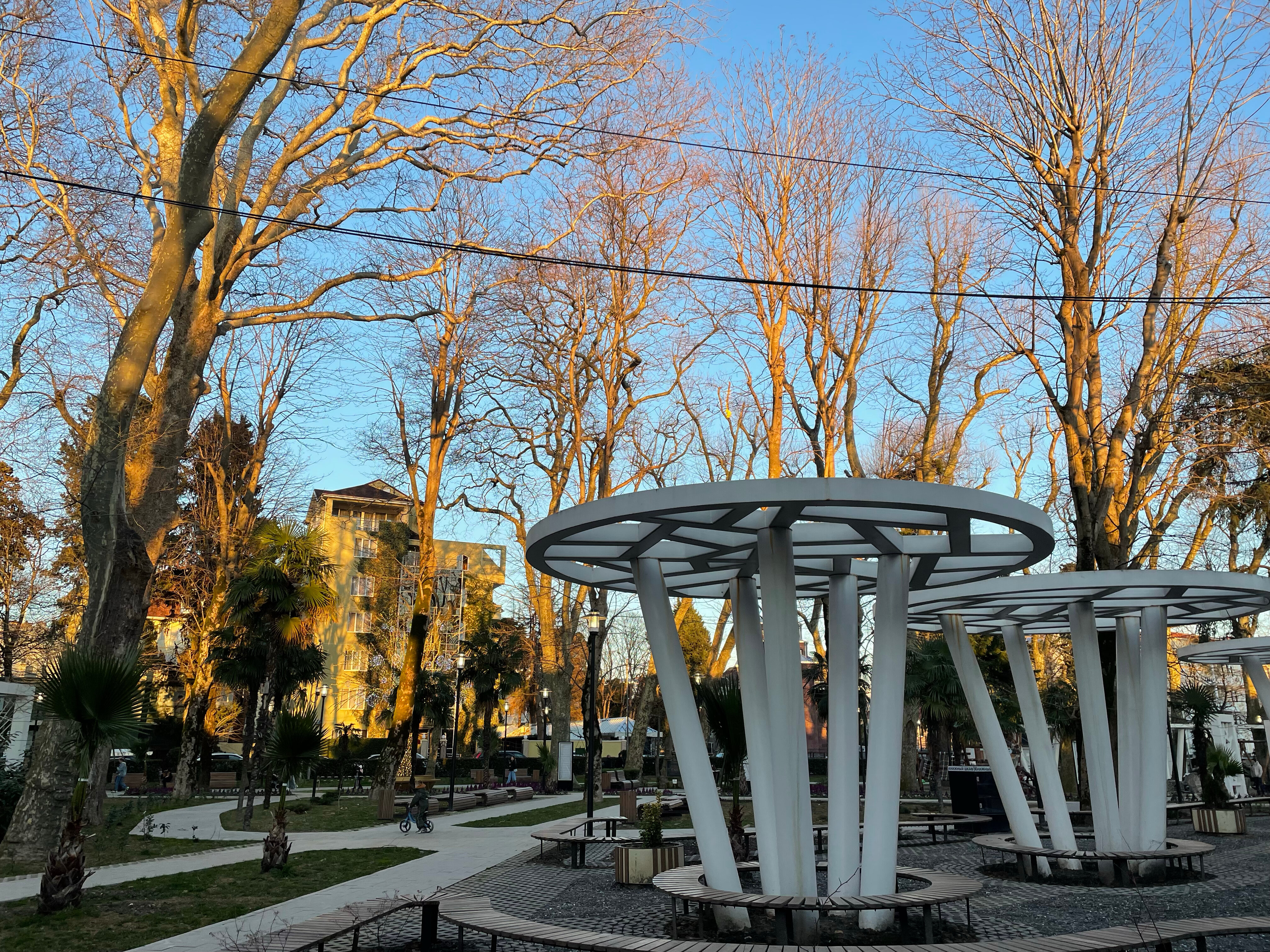 Фото Ellison Мечта