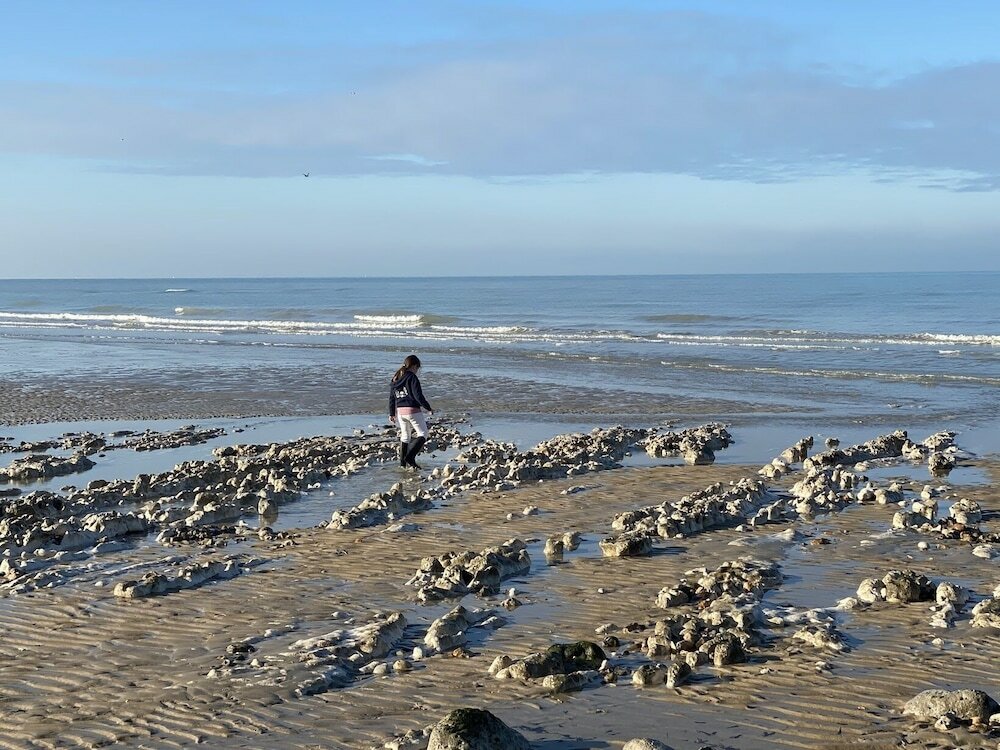 Фото Parc Beausejour Dieppe