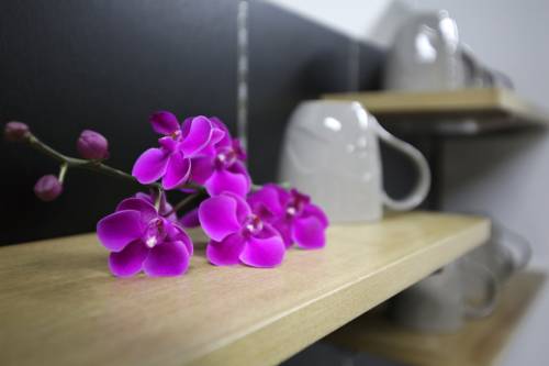 Фото Ziyolk Seoul Station