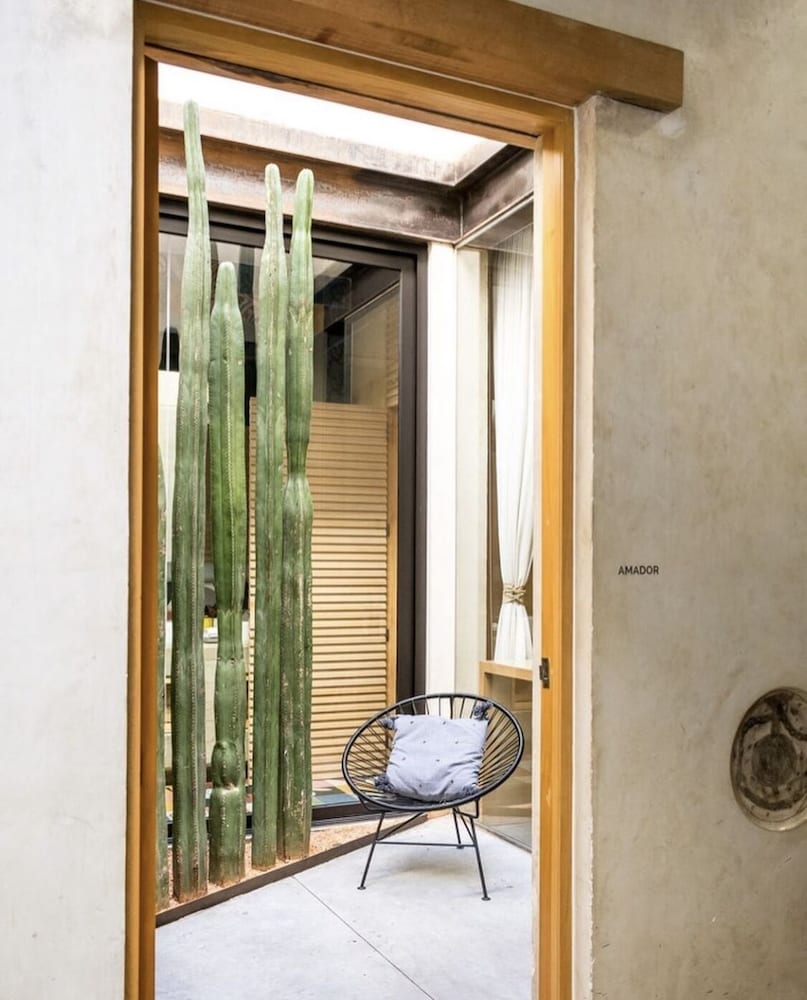 Фото Casa Carmen Reforma