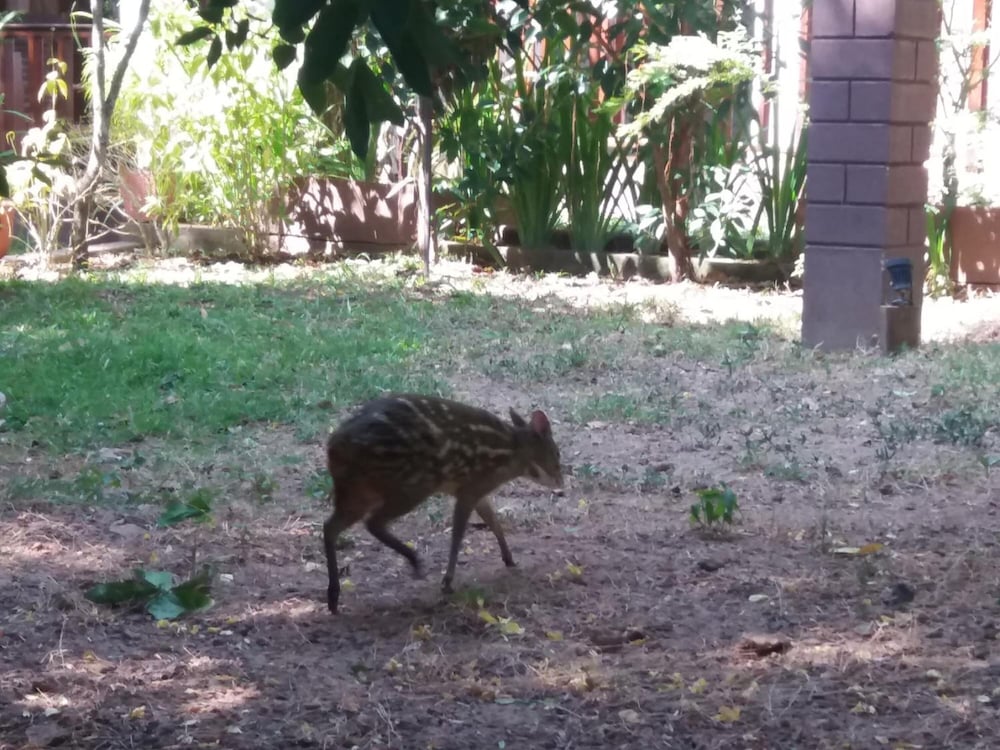 Фото Heaven in Satin Woods Rekawa