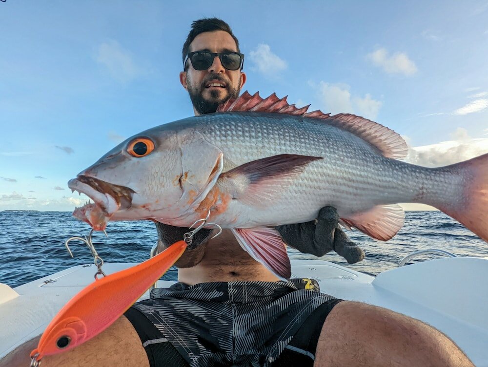 Фото Dhoani Maldives Guesthouse